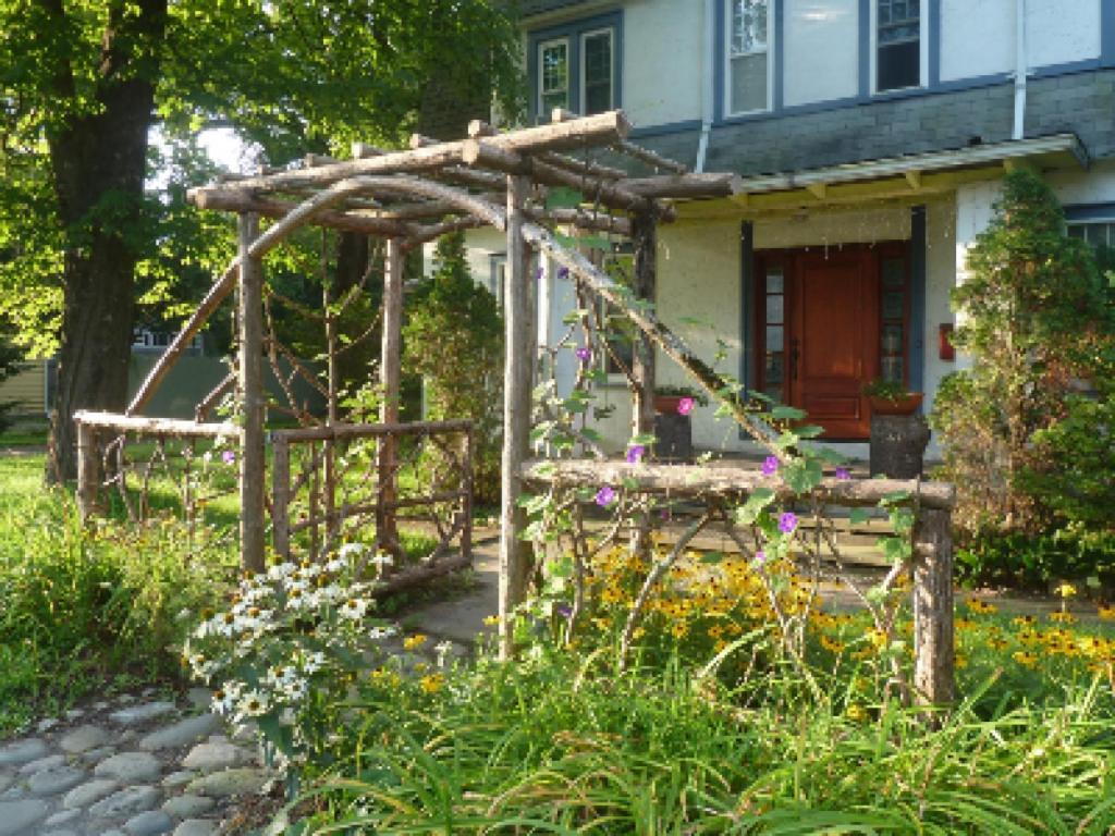 Morning Glory Woodstock